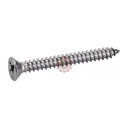 Vis TFP Inox A2 - DIN 7982
