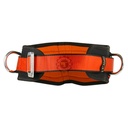 Ceinture de sécurité Climax